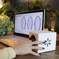 Dejar de fumar en Denia